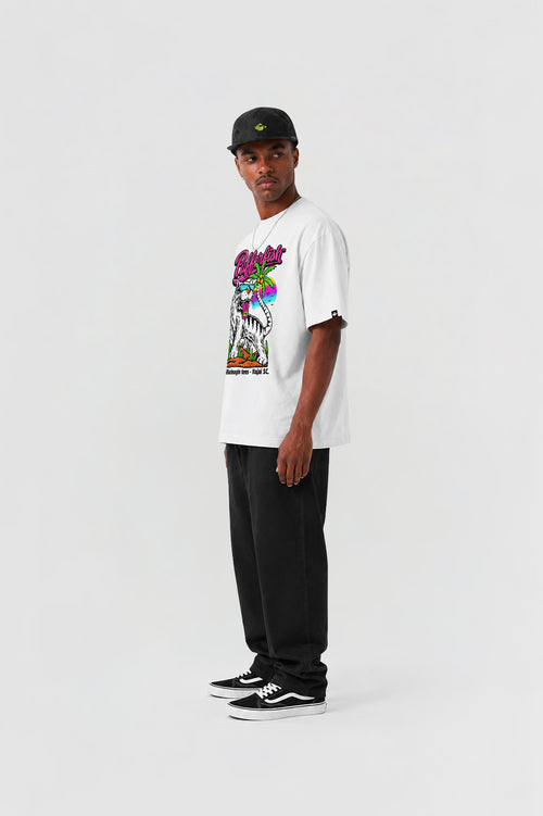 Camiseta Pufferfish - Allucinnogin (Estampa Frontal)